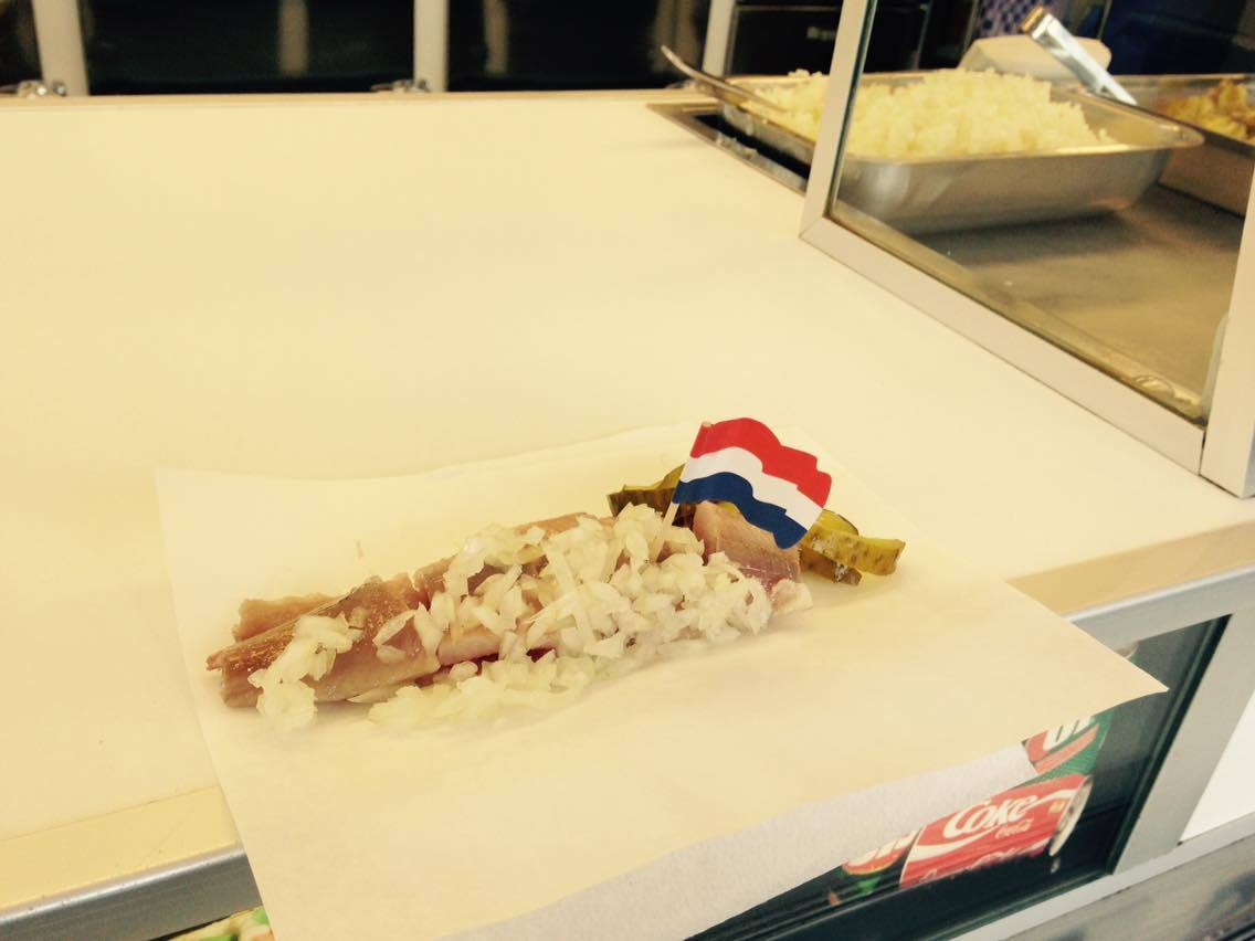 12896210_10156723976220273_2013154309_o