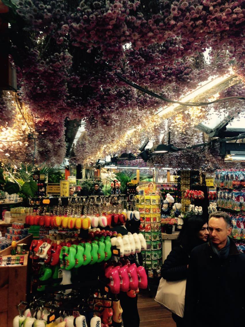 12914813_10156723989855273_966172694_o