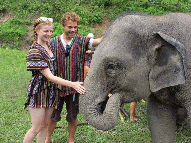 The Elephant Jungle Sanctuary – caring for elephants, not riding&nbsp;them!