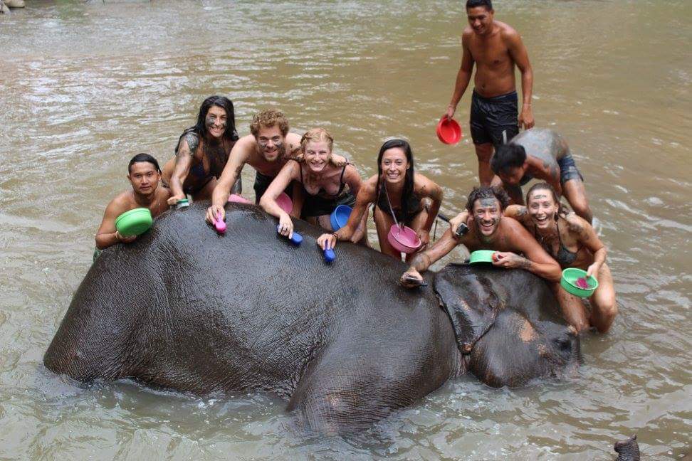 bathing-with-elephant