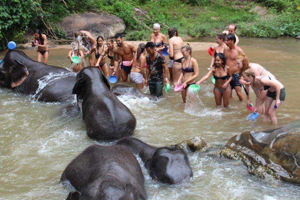 bathing-elephants-thailand
