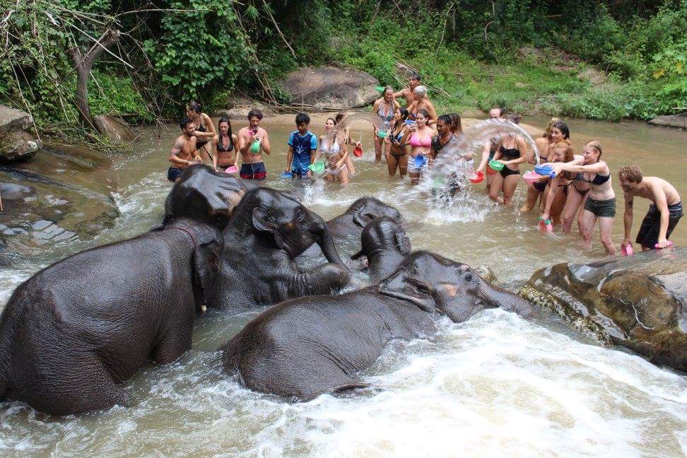 bathing-elephants-thailand